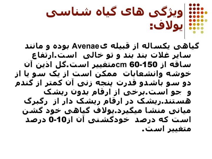 يولاف3