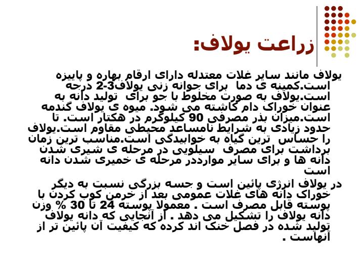 يولاف4