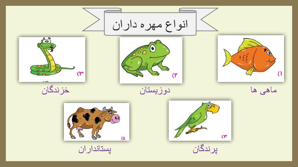 پاورپوینت-علوم-سوم-درس-۱۳-هر-کدام-جای-خود-دو2