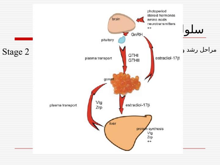 چگونگي-تشخيص-مراحل-رسيدگي4