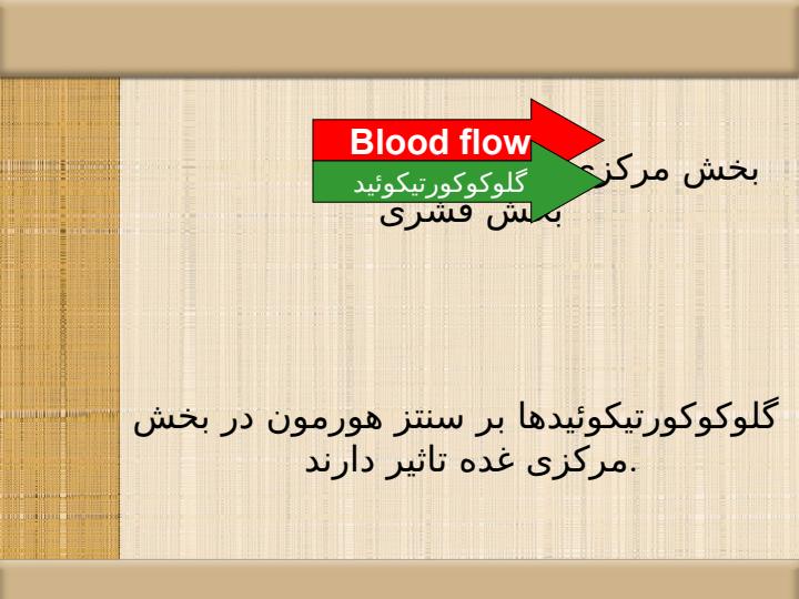 کاتکولامین-ها3