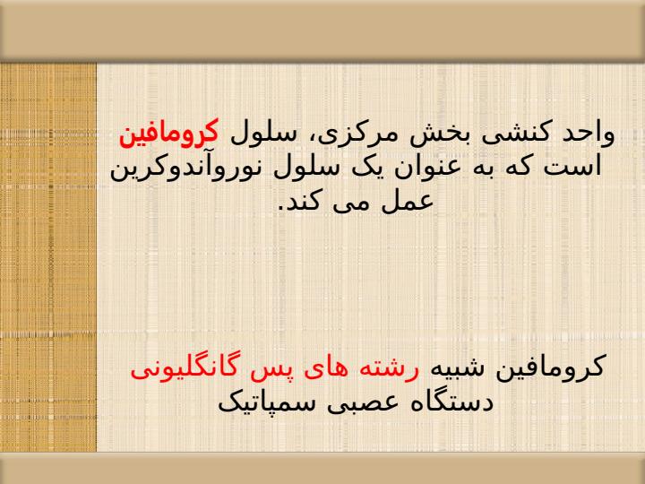 کاتکولامین-ها4