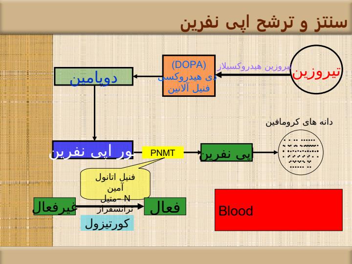 کاتکولامین-ها6