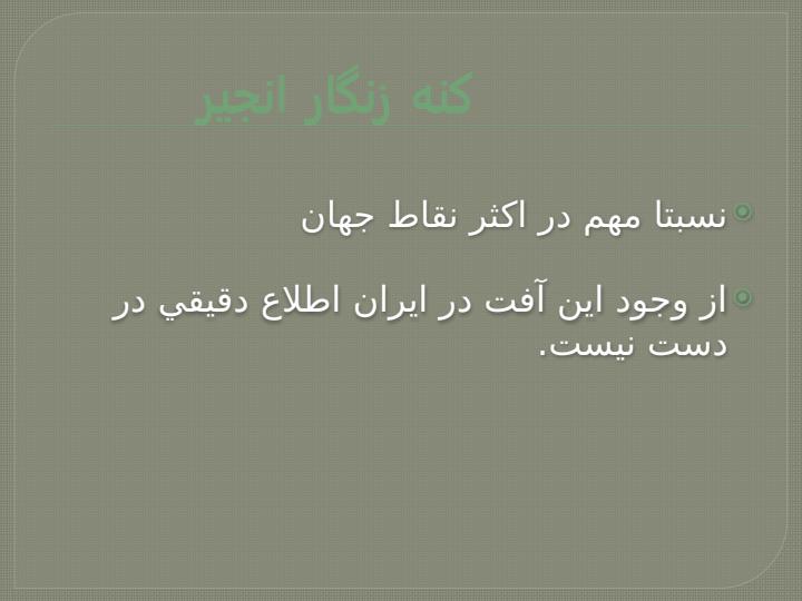 کنه-های-خرما-و-انجیر2