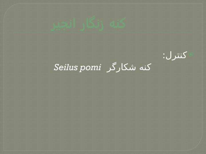 کنه-های-خرما-و-انجیر5