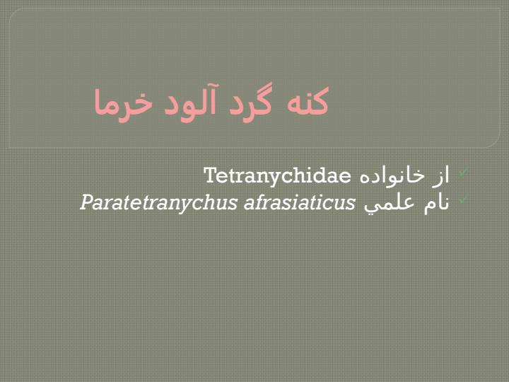 کنه-های-خرما-و-انجیر6