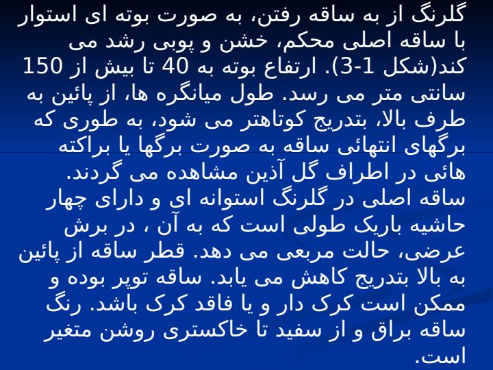 گزارشکار-درس-عملیات-کشاورزی6