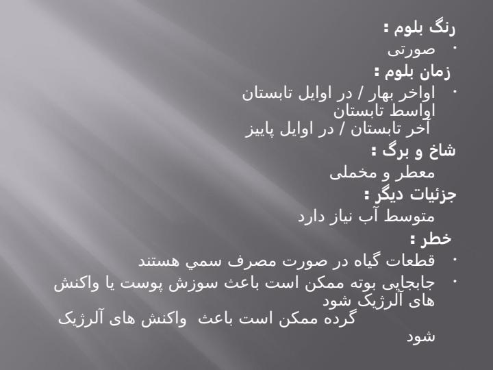 گوجه-فرنگي-درختي5