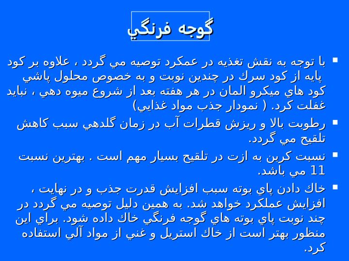 گوجه-فرنگي4