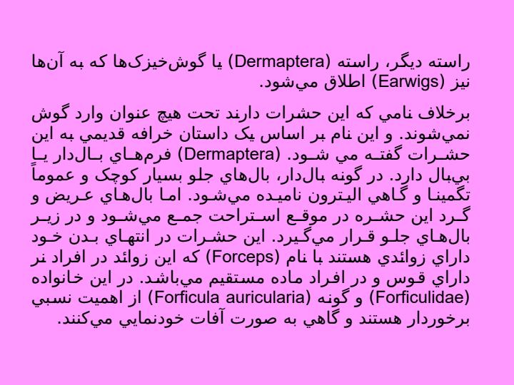 گوشتخیزک4