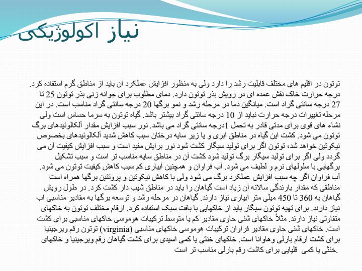 گیاه-توتون6