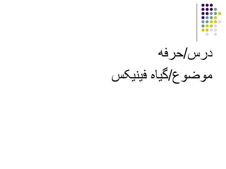 گیاه-فینیکس1