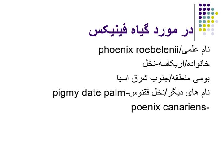 گیاه-فینیکس2