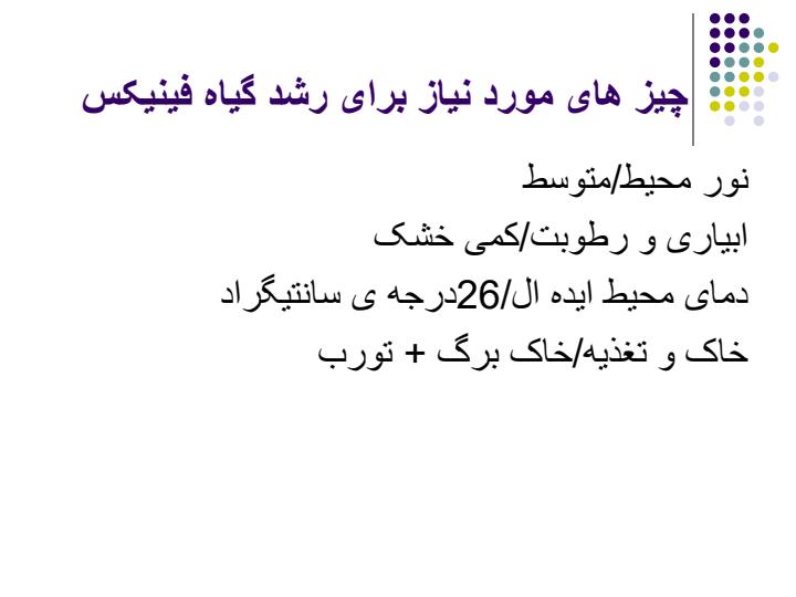 گیاه-فینیکس3