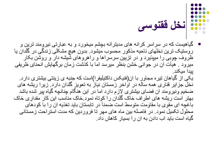 گیاه-فینیکس4