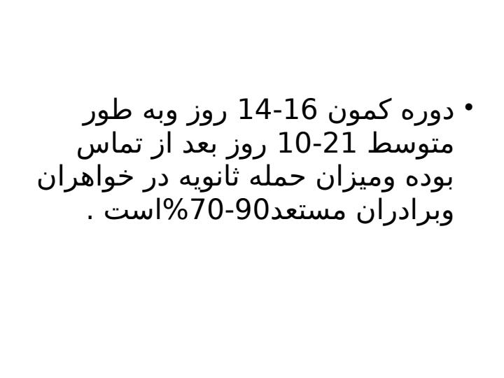 آبله-مرغان3