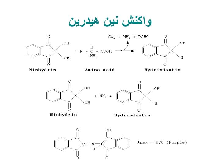 آزمايش-هاي-كيفي-اسيدهاي-آمينه-و-پروتئين-ها6