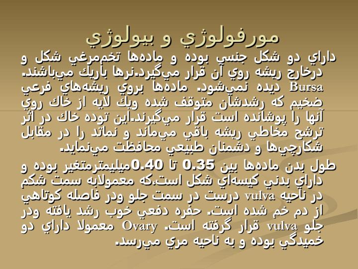 آشنايي-با-نماتد-مركبات2