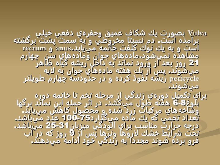 آشنايي-با-نماتد-مركبات4