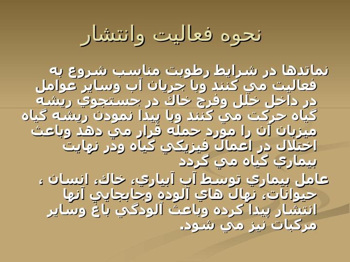 آشنايي-با-نماتد-مركبات5