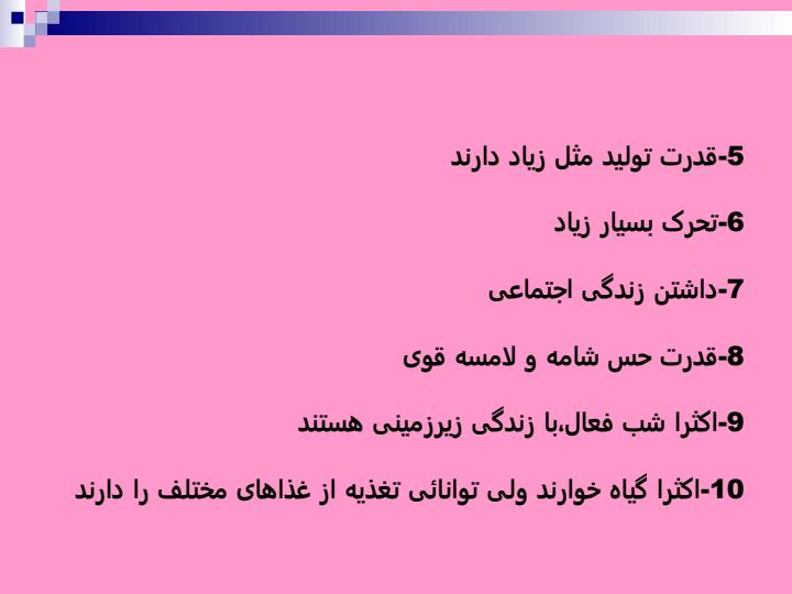 آفات-موذي3