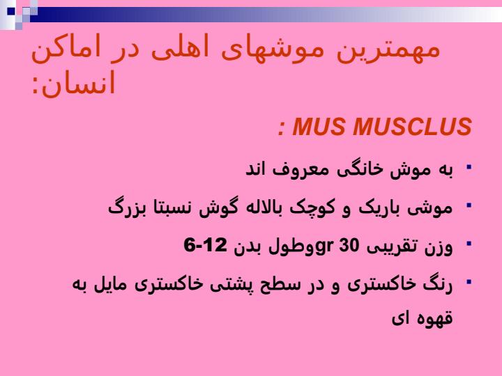 آفات-موذي4