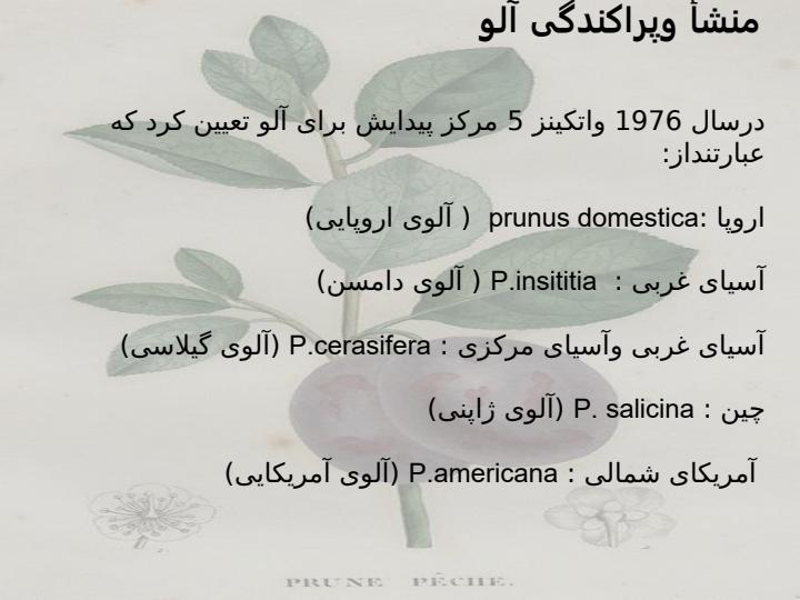 آلو3