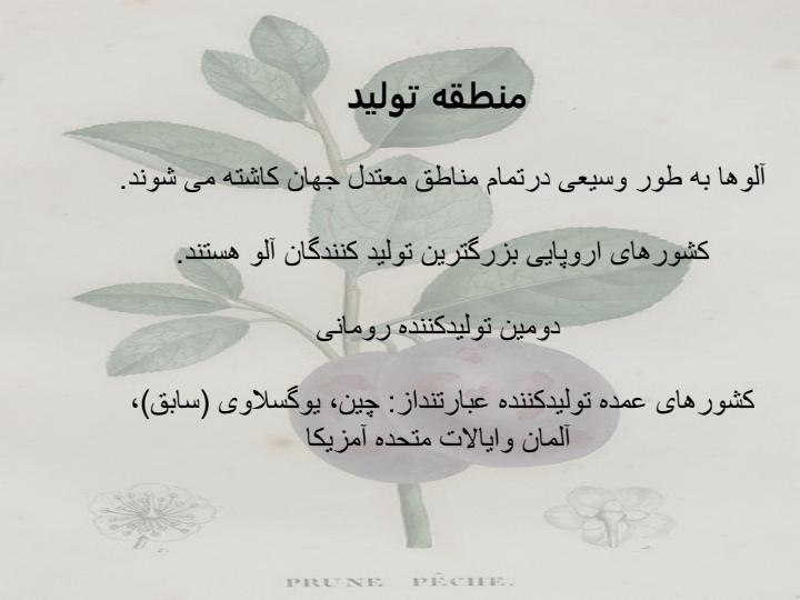 آلو4