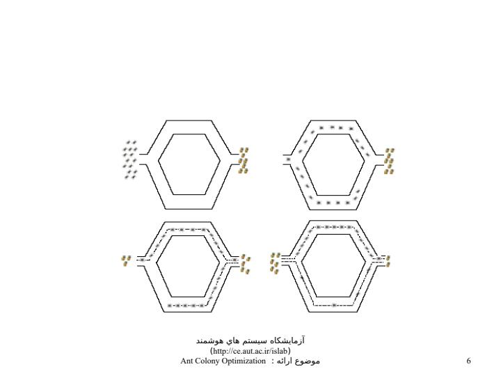 الگوريتم-جستجوي-مبتني-بر-روش-هاي-مبني-بر-جمعيت5