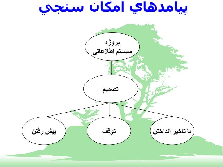امکان-سنجی-سيستم-هاي-اطلاعاتي2
