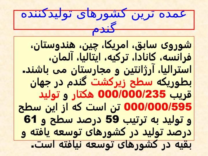 اهمیت-گندم-در-جهان-تولید-ایران-و-مقایسه-کیفیت-گندم-های-تولیدی-استان-کردستان-با-کشور6