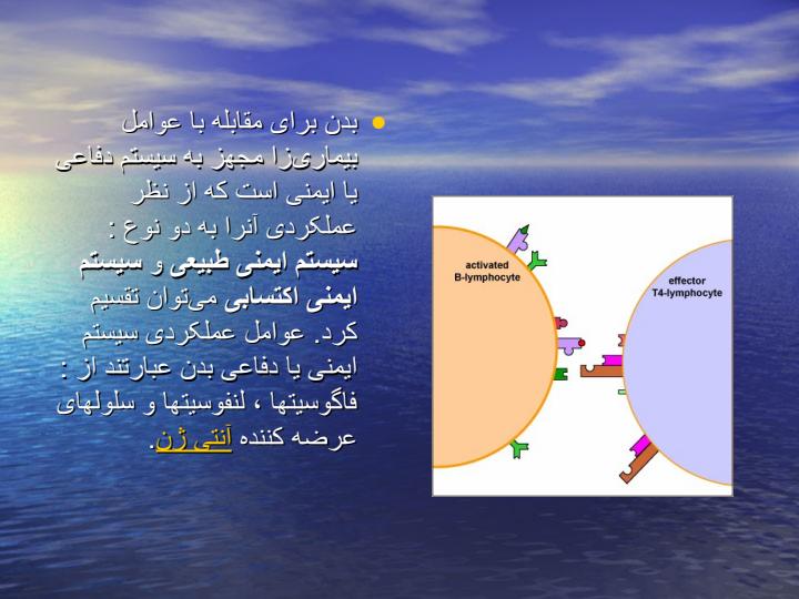 ایمنی-بدن4