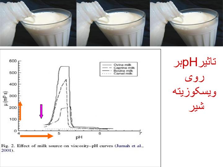 بررسی-خواص-رئولوژیکی-شیر-دام-های-اهلی-با-تکیه-بر-محصولات-تخمیری-ماست-و-پنیر-6