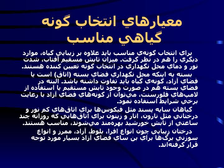 بن-سای-آمیزه-ای-از-هنر-و-باغبانی4