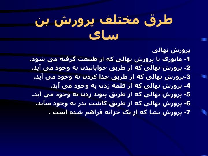 بن-سای-آمیزه-ای-از-هنر-و-باغبانی6
