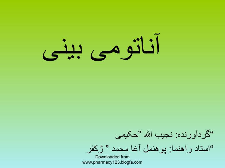 بینی1