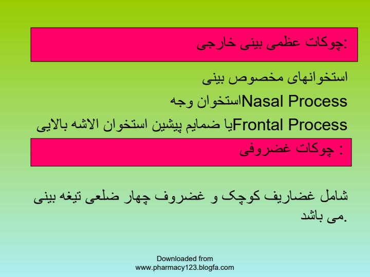 بینی5