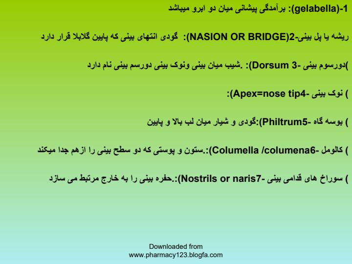 بینی6