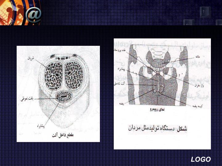 تاتتا6