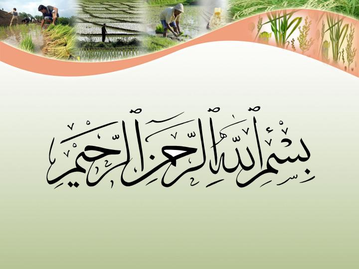 تثبيت-بيولوژيكي-نيتروژن-در-مزارع-برنج1