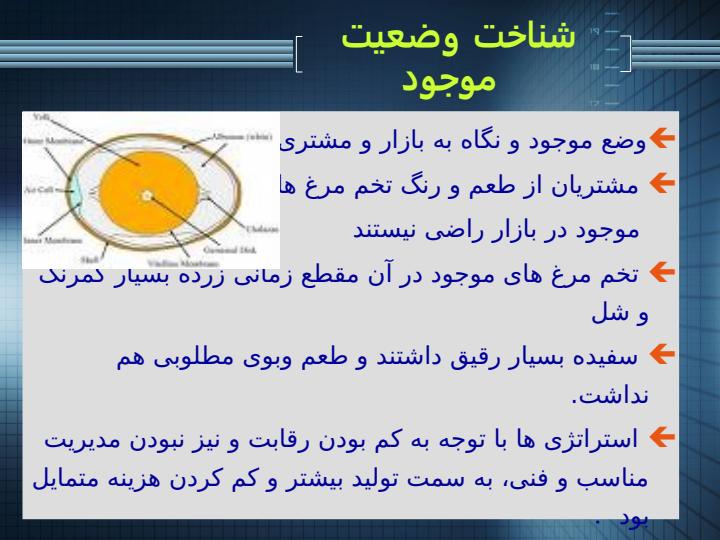 تحلیل-استراتژی-های-شرکت-تولیدی-تلاونگ3