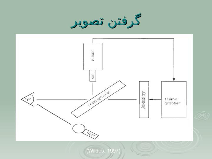 تشخيص-عنبيه-با-استفاده-از-خصايص-wavelet6
