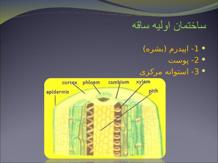 تغییرات-ساقه-بر-حسب-شرایط-محیطی3