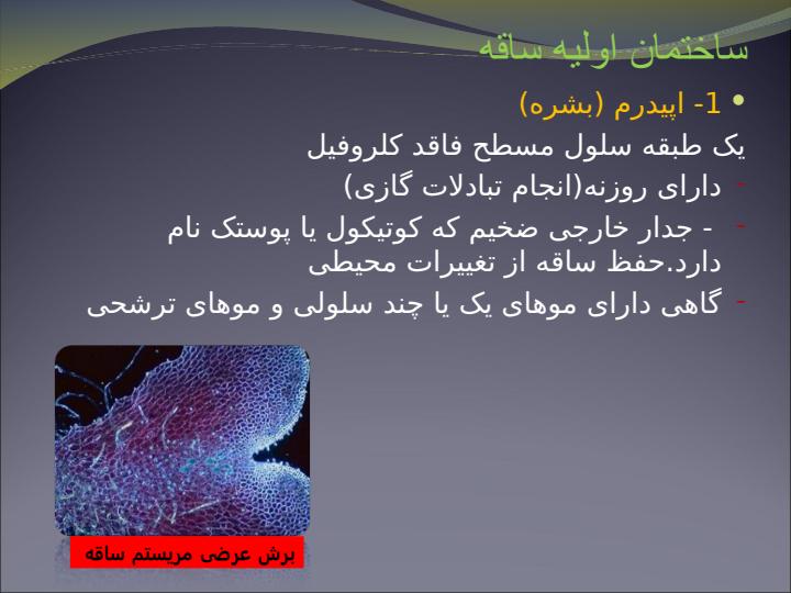 تغییرات-ساقه-بر-حسب-شرایط-محیطی4