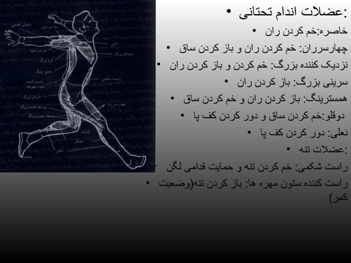 تكنيكهاي-اسپك-در-واليبال2