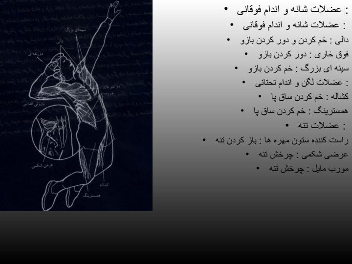تكنيكهاي-اسپك-در-واليبال5