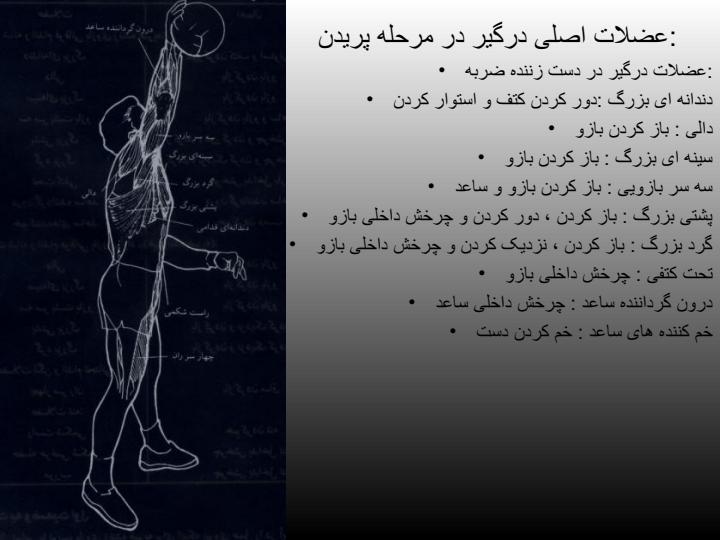 تكنيكهاي-اسپك-در-واليبال6