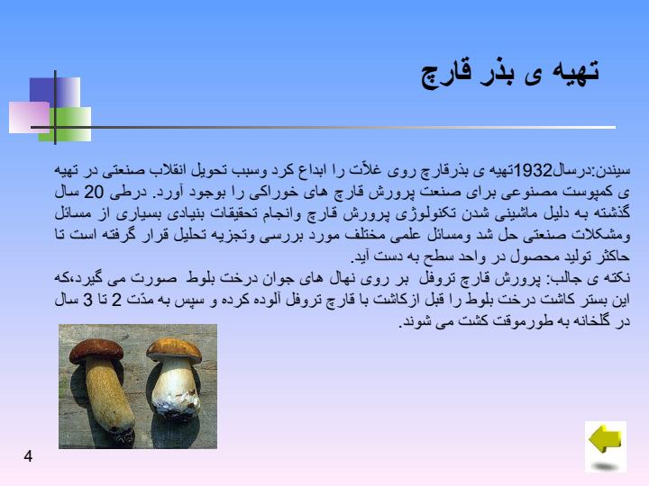 تهیه-ی-بذر-قارچ2
