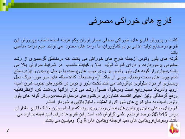 تهیه-ی-بذر-قارچ5