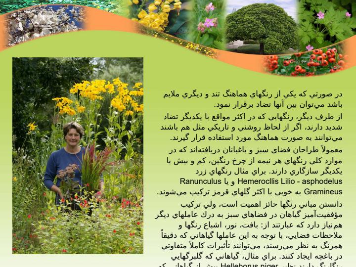 جعبه-رنگ-براي-طراحي-فضاي-سبز4